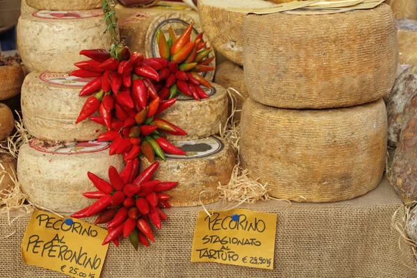 Kaas en chili peper — Stockfoto