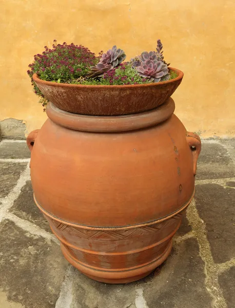 Pflanzgefäß aus der Toskana — Stockfoto