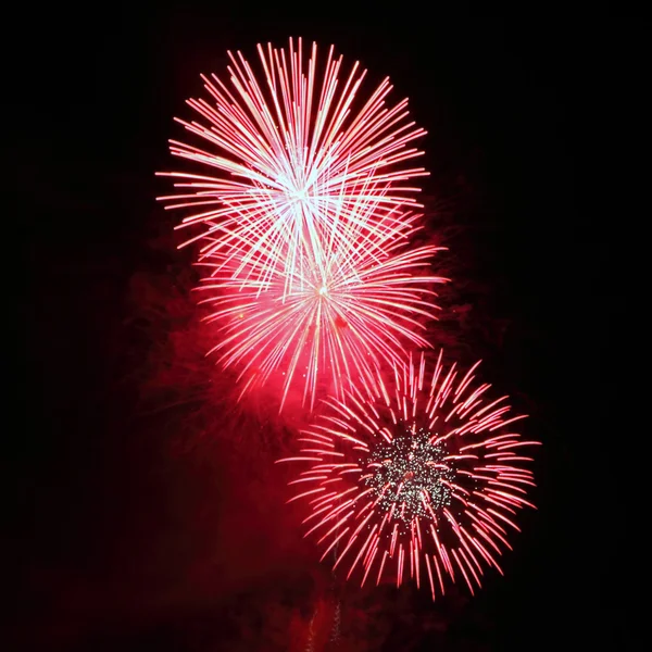 Fuochi d'artificio viola stella — Foto Stock