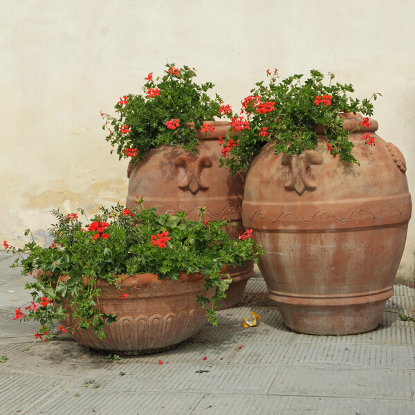 Elegant classic tuscan terracotta plant containers with geranium