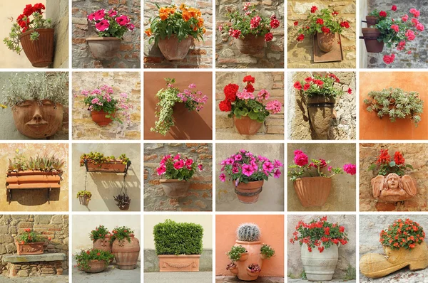 Colección de contenedores de flores — Foto de Stock