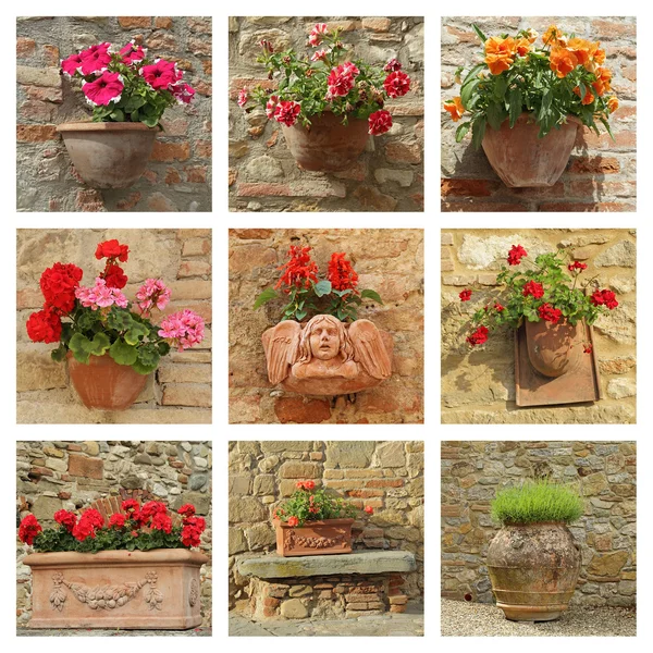 Sammlung keramischer Keramik mit Blumen an antiker Wand — Stockfoto