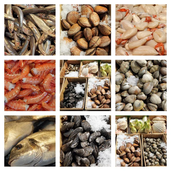 Seafood display collage — Stock Photo, Image