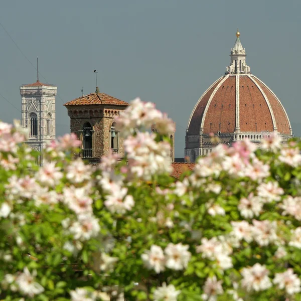 Tetti di monumenti fiorentini — Foto Stock