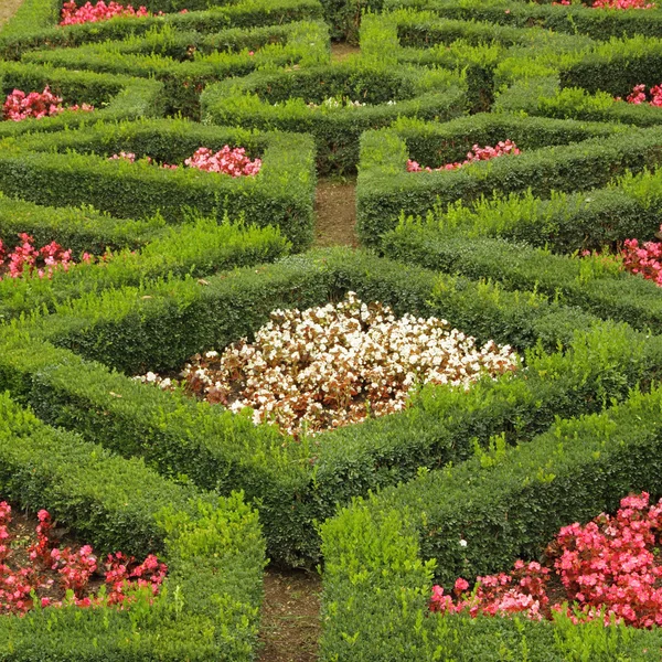 Geometrische flowerbed — Stockfoto