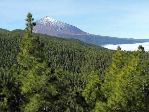 Paysage avec volcan Teide — Photo