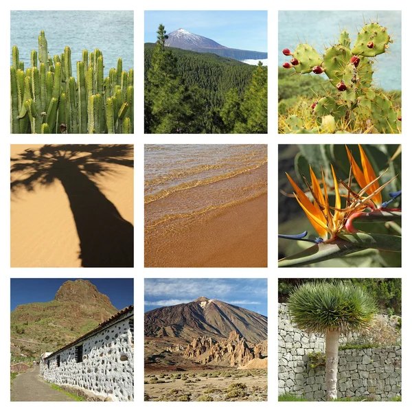 Tenerife eiland collage — Stockfoto