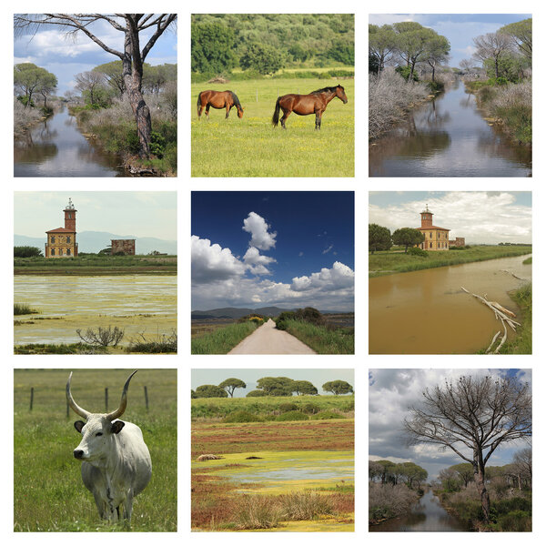 National Park l'Uccellina in tuscan Marem