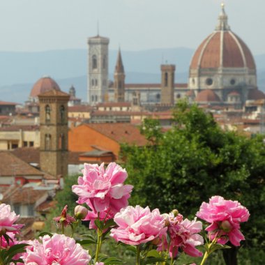 çiçekli pembe Şakayık Katedrali'nin muhteşem manzaralı
