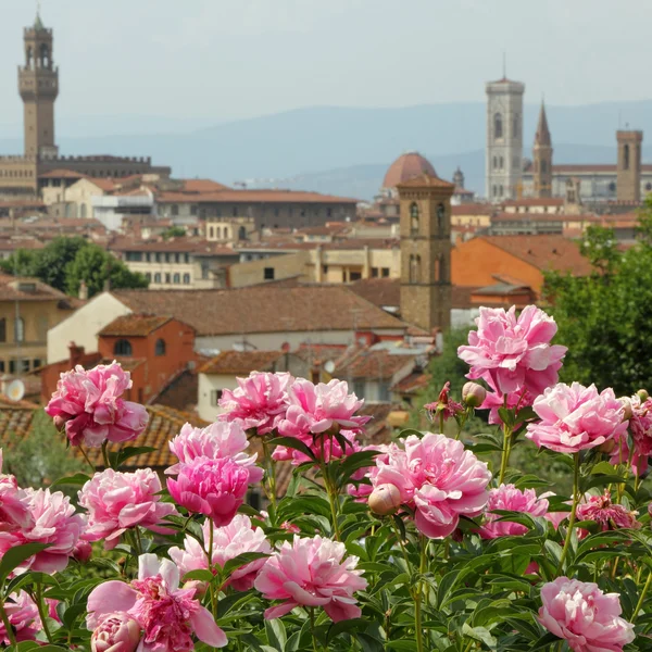 Pembe Şakayık çiçekleri ve fantastik panorama — Stok fotoğraf
