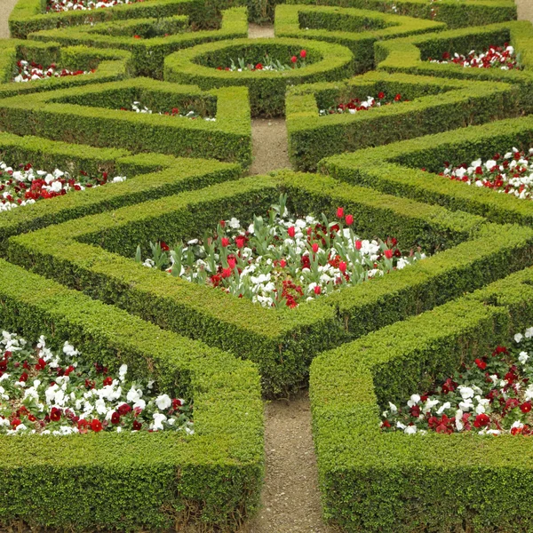 Doolhof flowerbed — Stockfoto