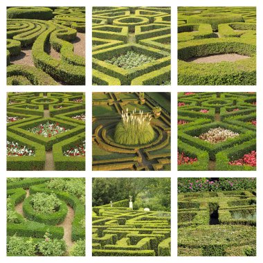 Geometric gardens clipart