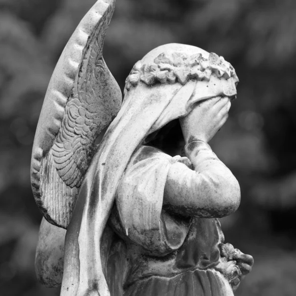 Standbeeld van huilen begraafplaats engel — Stockfoto