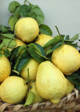 sepeti taze limon
