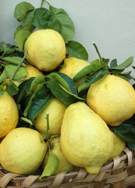 Basket of fresh lemons — Stock Photo, Image