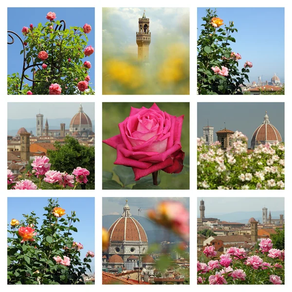 Folon och den rosa trädgården — Stockfoto