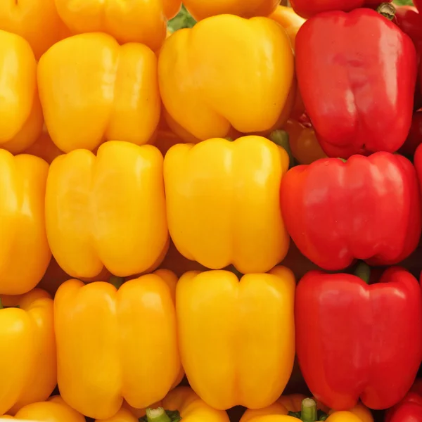 Gul och röd paprika — Stockfoto