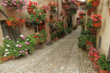 Old paved street with flowers clipart