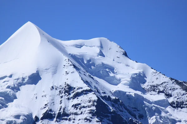 Snowhorn — Stok fotoğraf