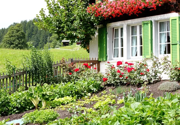 정원으로 농가 — 스톡 사진