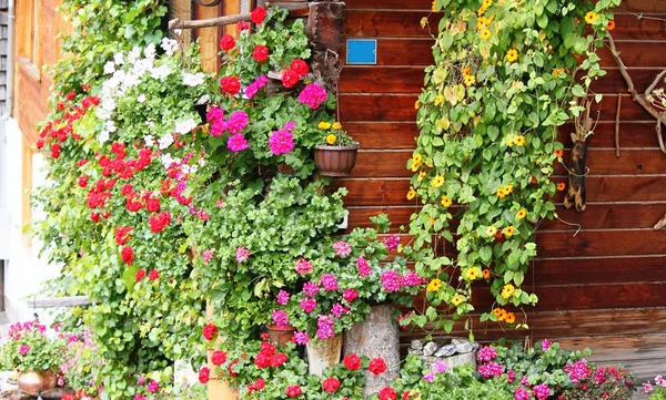 Flower arrangement on farmhouse — Stock Photo, Image