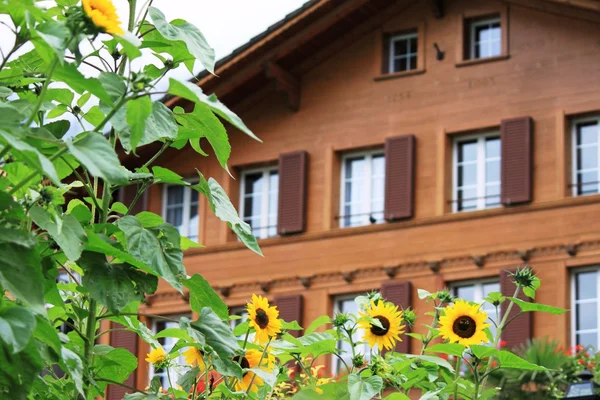 Casas rurales en Suiza —  Fotos de Stock