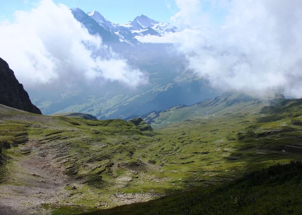 Berge der Jungfrauregion in der Schweiz — Stockfoto