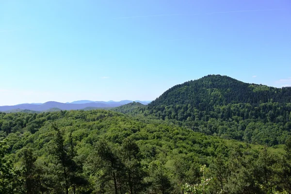 Viste palatinate — Foto Stock