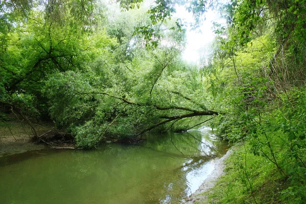 Paisaje salvaje del río — Foto de Stock