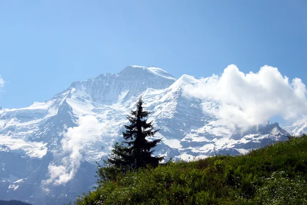 Горы Швейцарии — стоковое фото