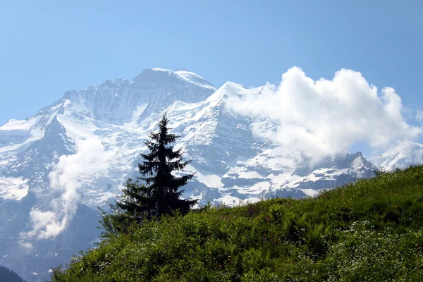 Berge in der Schweiz — Stockfoto