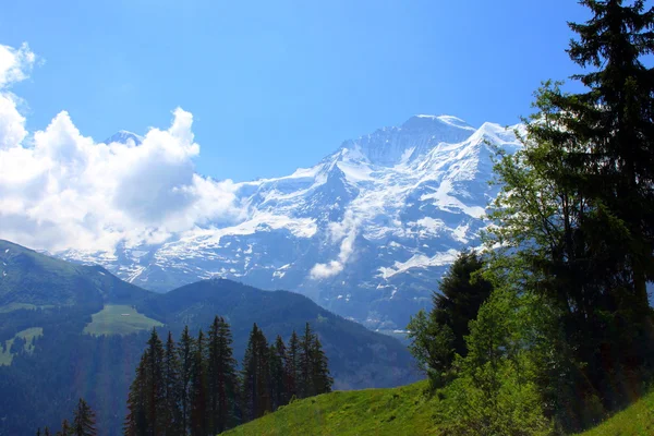 Mountains in Switzerland — Stock Photo, Image