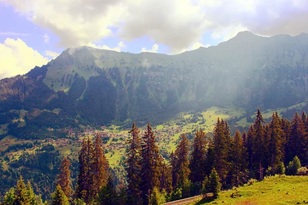 Grindelwald — Foto de Stock