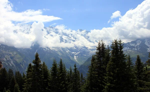 Montañas en Suiza — Foto de Stock