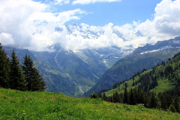 Grindelwald — Stok fotoğraf
