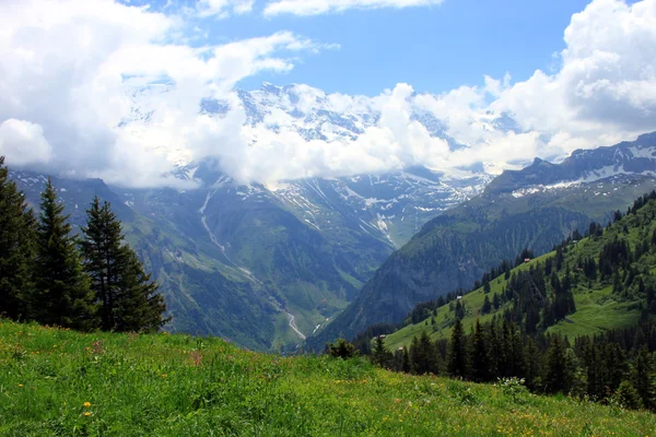 Grindelwald —  Fotos de Stock