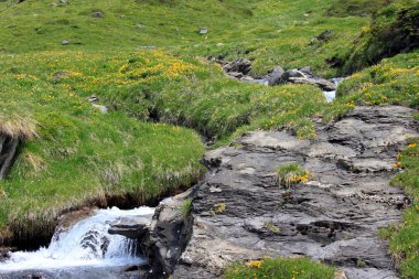 Yüksek dağlarda Creek