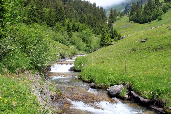Creek ve vysokých horách — Stock fotografie