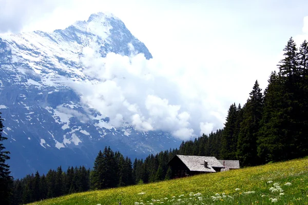 Domek w górach — Zdjęcie stockowe