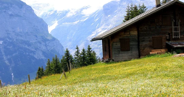 Dağlardaki kır evi. — Stok fotoğraf