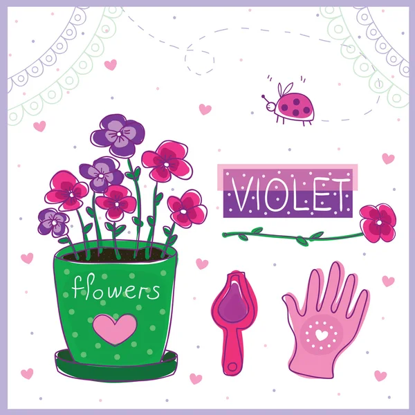 Violetta — Vettoriale Stock