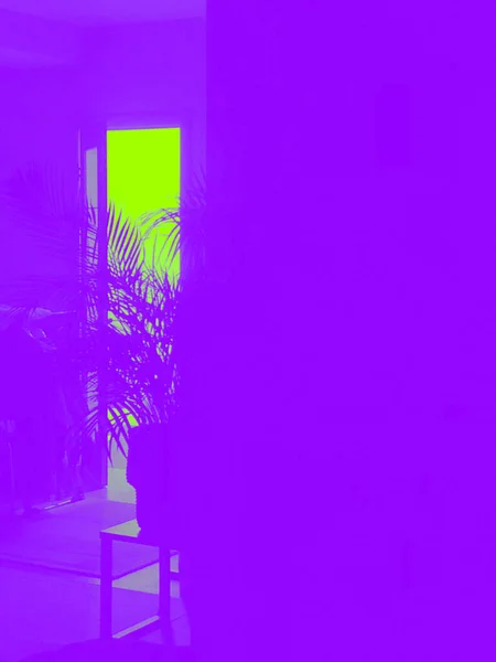 暗い部屋玄関の光の中でヤシの枝のシルエット 審美的な写真 — ストック写真