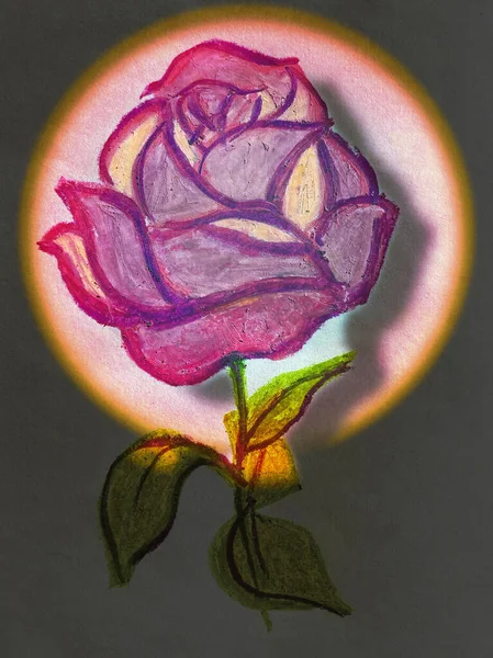 Bellissimo Sfondo Illustrazione Una Rosa Sotto Riflettori — Foto Stock