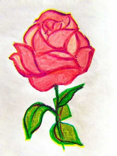 Bella Illustrazione Una Rosa Disegno Mano Tecniche Miste — Foto Stock