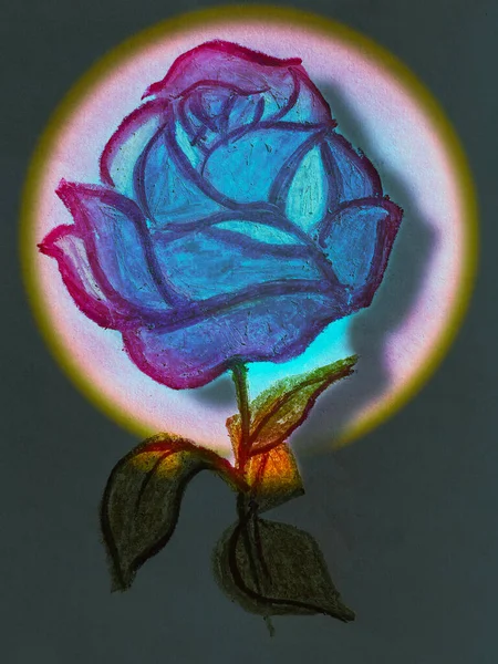 Beautiful Background Illustration Blue Rose Spotlight — Stock Photo, Image