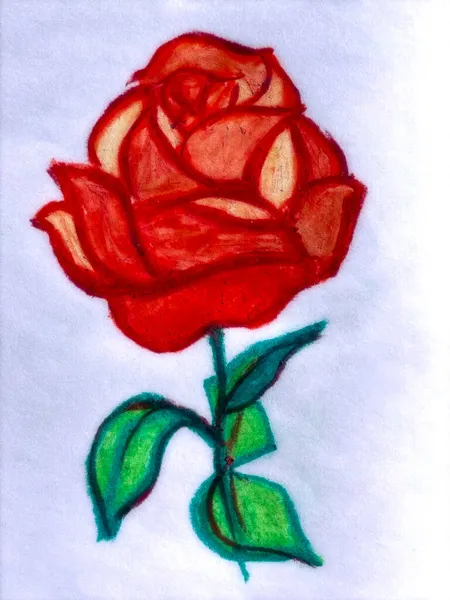 Belle Illustration Une Rose Dessin Main Techniques Mixtes — Photo