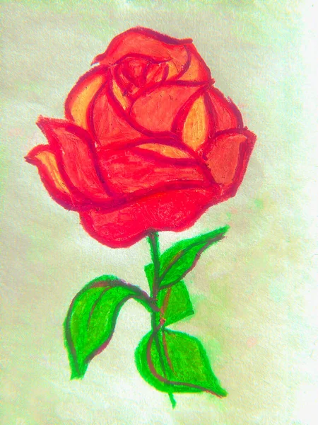 Bella Illustrazione Una Rosa Disegno Mano Tecniche Miste Sfondo Astratto — Foto Stock