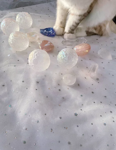 Γάτα Επιλέγει Κρυστάλλους Και Κάνει Μεταλλικά Θεραπευτικά Sessio — Φωτογραφία Αρχείου