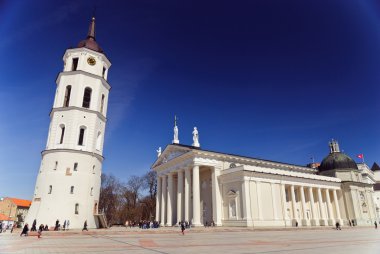 Classical cathedral with tower and crowdy Cathedral square in Vilnius, Lithuania clipart