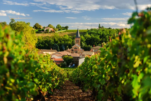 Viñedo y la ciudad de Saint Julien en la región Beaujolais, Francia — Foto de Stock